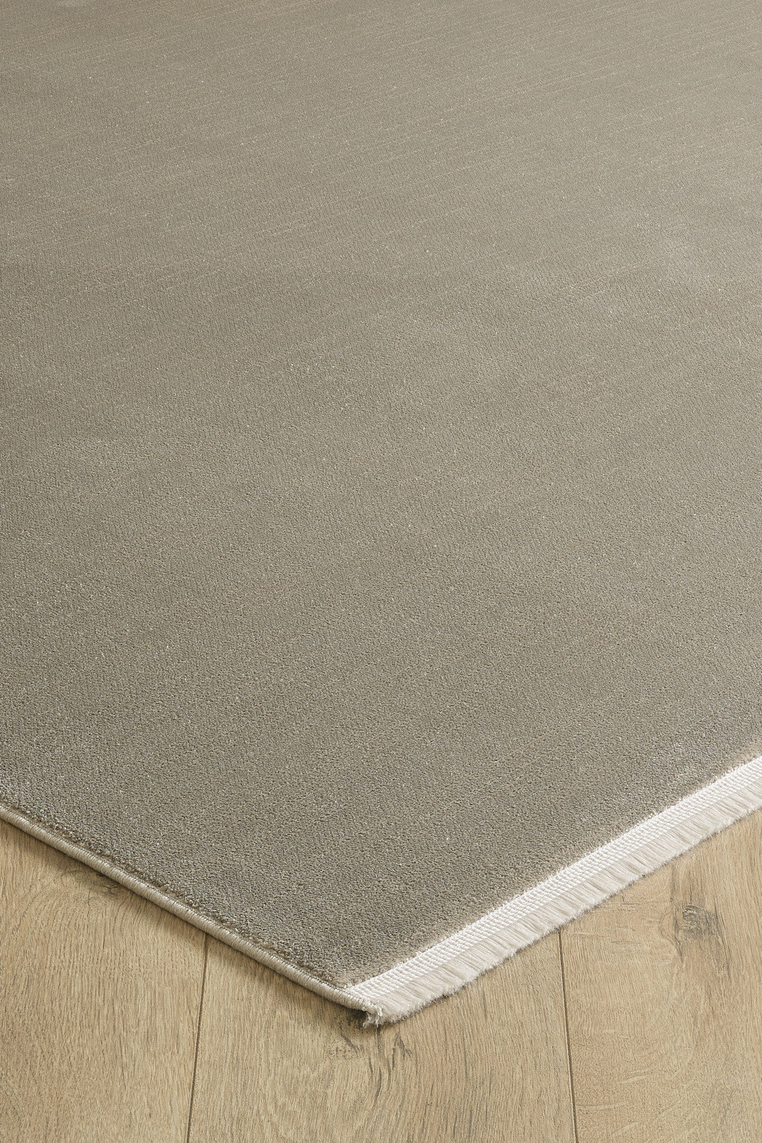 Timeless Beige - Premium Rug - LN202