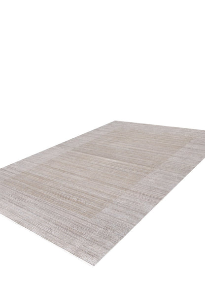 Neutral Frame Modern Bordered Rug - EW5541